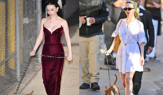 Đời thường như phim của chủ nhân tượng vàng Oscar: Diện váy cúp ngực dắt cho đi dạo bỗng viral