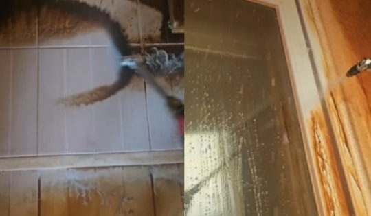 Bức ảnh căn hộ ố vàng đáng sợ khiến dân mạng bàng hoàng, thủ phạm hóa ra rất quen thuộc