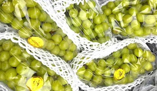 Nho sữa giá rẻ tràn ngập thị trường: Cách nào để tránh mua phải hàng kém chất lượng