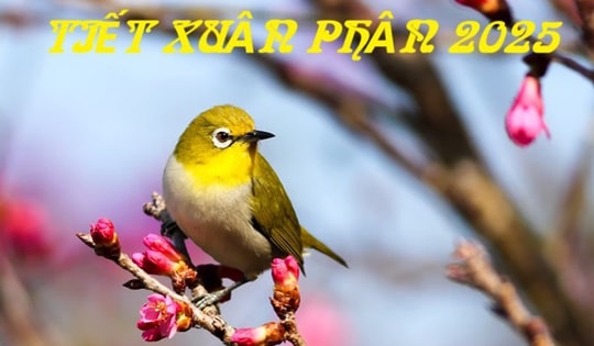 Tiết Xuân Phân 2025 là thời điểm cầu tài, cầu phúc, cầu tự bắt đầu ngày nào, nên lưu ý làm những điều sau