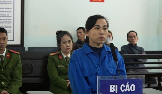 Đưa thông tin gian dối, chiếm đoạt tiền tỷ tiêu xài