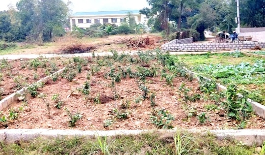 Cầm tiền tỷ trong tay cũng khó mua được đất ngoại thành Hà Nội