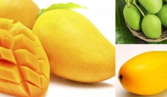 Mùa xoài đến, bất ngờ ăn xoài cách này sẽ giảm cân nhanh chóng