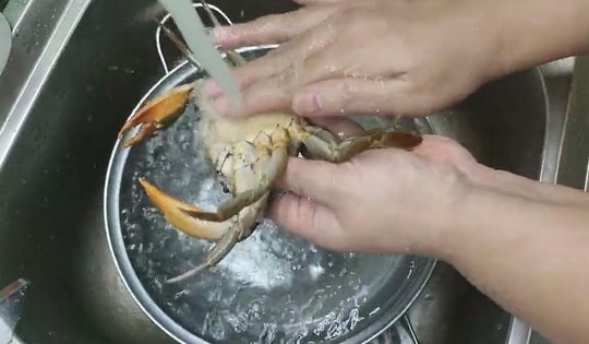 5 mẹo bảo quản hải sản tươi lâu, không bị mất vị