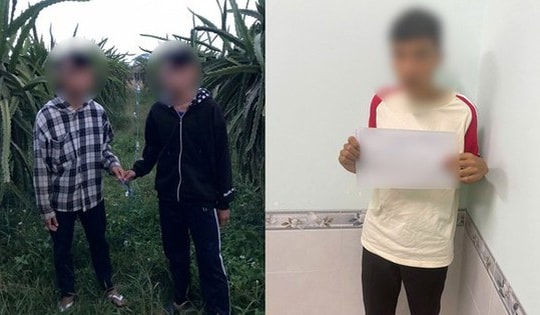 3 học sinh lớp 9 trộm dây điện tại rẫy thanh long của người dân