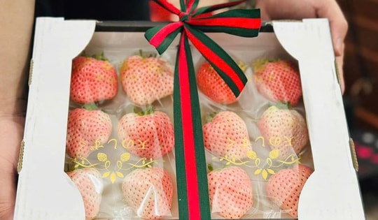 Dâu Bạch Tuyết giá rẻ bèo bán ngập thị trường, tiểu thương chia sẻ cách mua hàng chuẩn