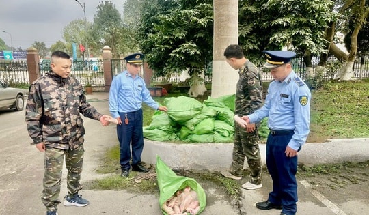 Đang vận chuyển hơn 500kg móng giò đông lạnh, không đảm bảo ATTP, xe ba bánh lập tức bỏ chạy khi thấy lực lượng chức năng