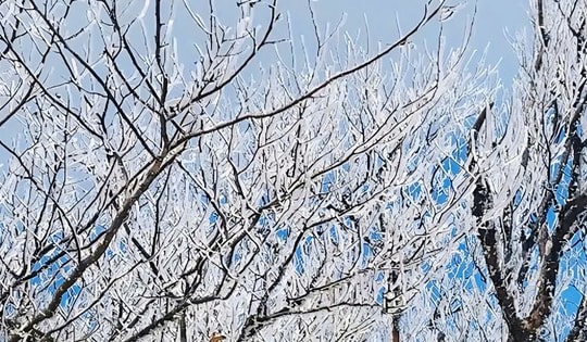 Băng giá xuất hiện giữa tháng 3 ở đỉnh núi Tà Xùa