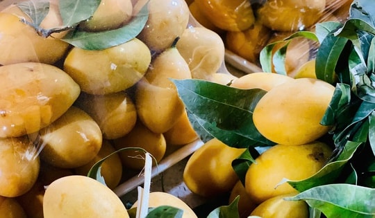 Loại quả được ví như thuốc bổ bán đầy chợ Việt giá chỉ vài chục nghìn đồng/kg