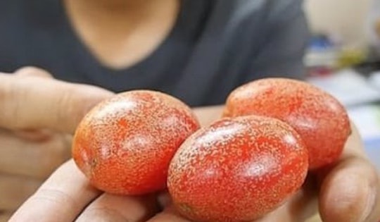 Những công dụng chữa bệnh từ cây nhót không phải ai cũng biết