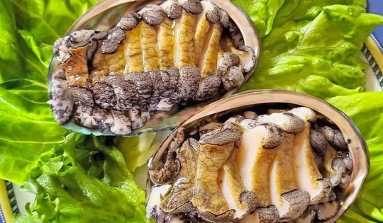 Loại hải sản ‘siêu’ bổ dưỡng bán đầy chợ Việt với giá chỉ hơn chục ngàn đồng/con