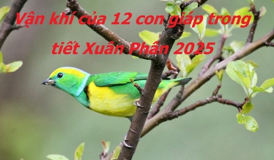 Tiết khí Xuân Phân 2025 tác động mạnh vận khí 12 con giáp, nên biết điều dưới đây để cả năm may mắn, tài lộc