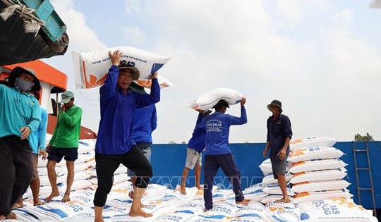 Thị trường nông sản: Giá gạo xuất khẩu tiếp tục tăng