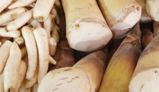 Cách loại bỏ độc tố trong măng tươi hiệu quả nhất