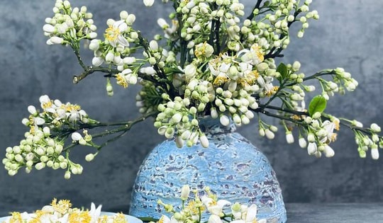 Mãn nhãn những cách cắm hoa bưởi đẹp mê li, thơm phức đầy sinh khí, giúp bạn luôn dồi dào năng lượng và vượng tài lộc