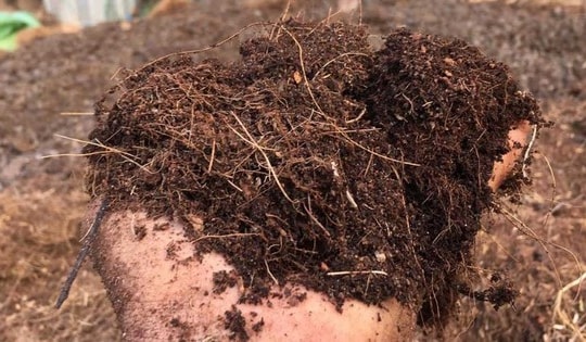 Vì sao xơ dừa được sử dụng phổ biến làm giá thể trồng cây?