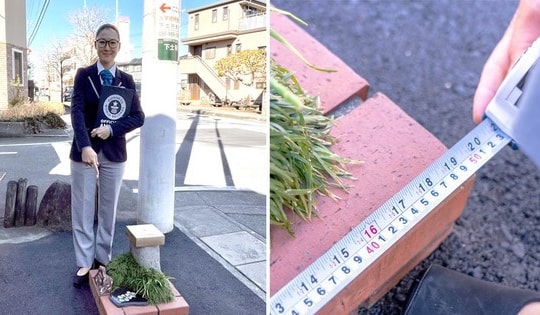 Độc lạ công viên chỉ rộng bằng 4 tờ giấy