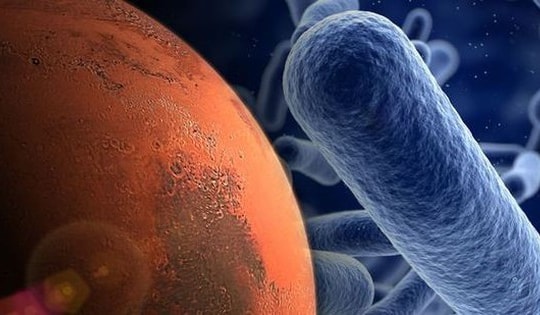 Nếu sự sống có thể tồn tại trong dạ dày của bạn thì nó có thể sẽ tồn tại trên Sao Hỏa?