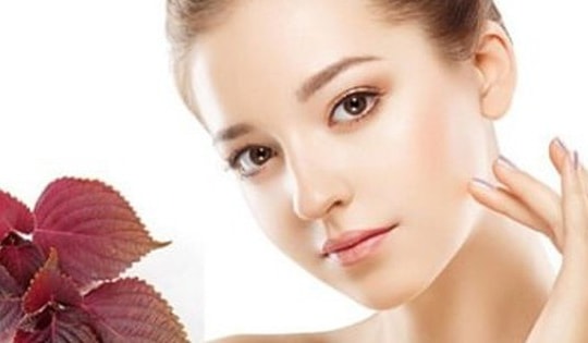 5 công dụng làm đẹp bất ngờ của lá tía tô