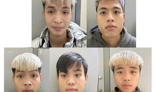 Nhóm 'báo con' bày mưu đi cướp