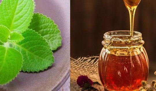 Bí quyết trị ho, tiêu đờm hiệu quả bằng siro húng chanh