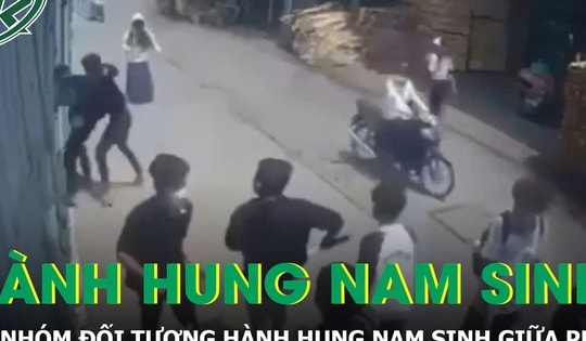 Hành hung nam sinh giữa phố, nhóm 6 đối tượng bị tóm gọn chỉ sau vài giờ