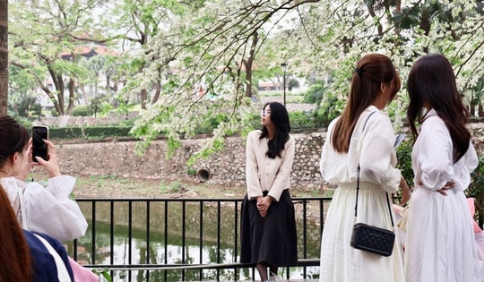 Những địa điểm check-in mùa hoa tháng 3 tại Hà Nội