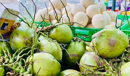 Loại quả Việt xuất khẩu đạt tỷ USD, trong nước bán đầy vỉa hè giá hơn chục ngàn đồng/quả