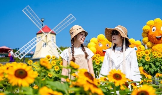 Sun World Ba Na Hills ngợp ngời sắc vàng trong lễ hội Hoa Mặt trời