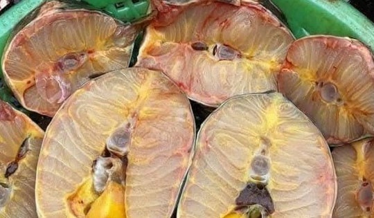 Cẩn trọng với cá tầm được rao bán siêu rẻ trên mạng xã hội