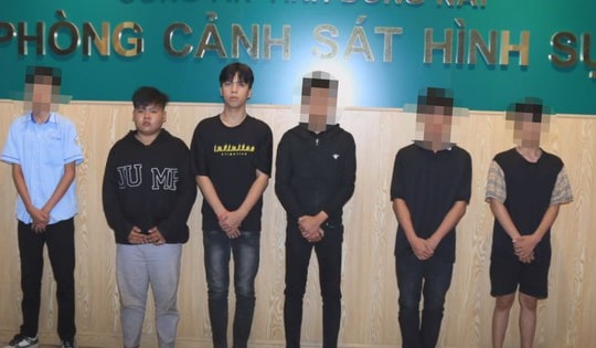 Vụ một học sinh tại Đồng Nai bị nhóm người đánh gục trên đường: Tạm giữ hình sự 5 đối tượng