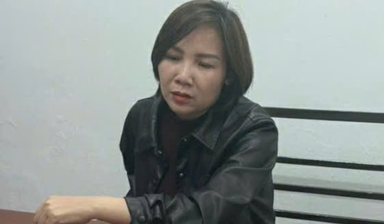 Thao túng tâm lý, dùng giấy tờ giả, 'nữ quái' chiếm đoạt hàng tỉ đồng