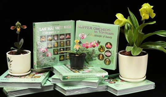 Ra mắt cuốn sách song ngữ đầu tiên về lan hài Việt Nam