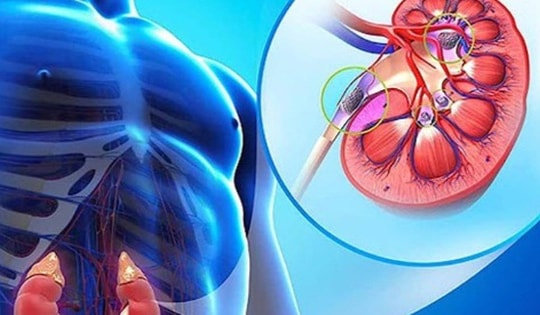 10 thực phẩm rẻ tiền, bổ thận đang bán đầy chợ Việt, người bệnh thận nên ăn để phòng biến chứng