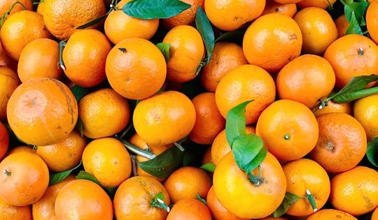 Loại quả giúp tăng miễn dịch rao bán đầy chợ với giá chỉ hơn 10.000 đồng/kg