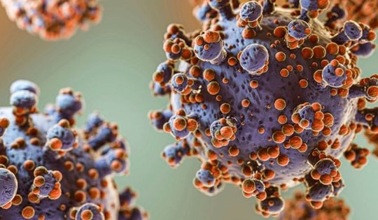 Xuất hiện virus lạ gây triệu chứng ho ra máu ở Nga