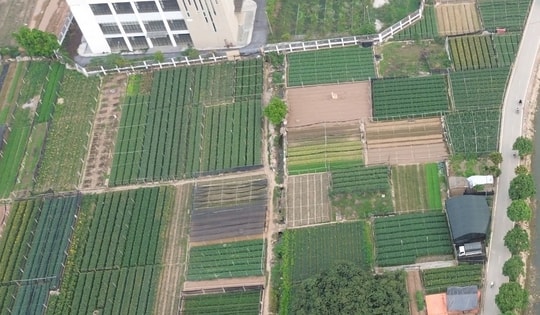 Từ hôm nay (1/4), tổ chức kinh doanh bất động sản được nhận chuyển quyền và mục đích sử dụng đối với đất nông nghiệp