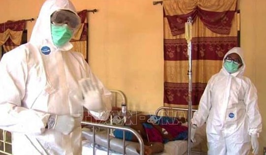 Dịch sốt Lassa khiến hàng trăm người tử vong ở Nigeria