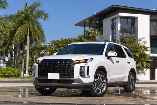 SUV được yêu thích tại Việt Nam, Palisade chiếm vị trí 'ngon trên tầm giá'