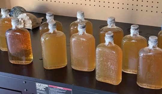 Dắt chó đi dạo, người đàn ông phát hiện 'kho báu' trên bãi biển