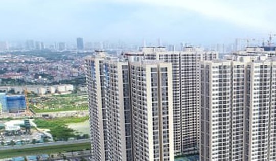 Chung cư bớt nóng, đất nền lại 'nổi sóng': Nên đầu tư vào đâu?