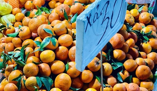 Thực hư về xuất xứ của loại quýt sim đang bán đầy thị trường với giá siêu rẻ, chỉ từ vài ngàn đồng/kg