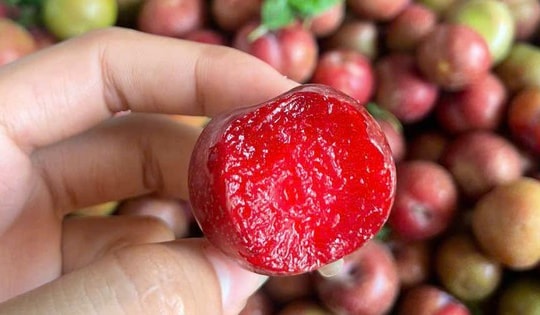 Nguồn cung khan hiếm, giá mận hậu đắt nhưng vẫn 'hút' khách