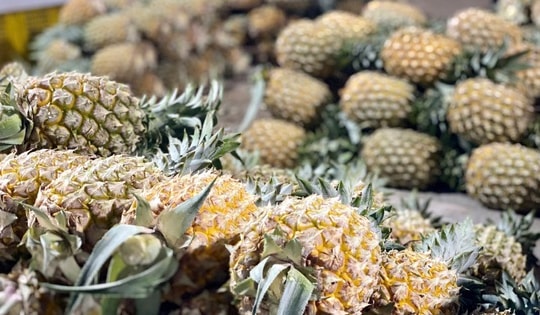 Loại quả nhiều vitamin C đang vào mùa giá chỉ 15.000 đồng/kg bán đầy vỉa hè