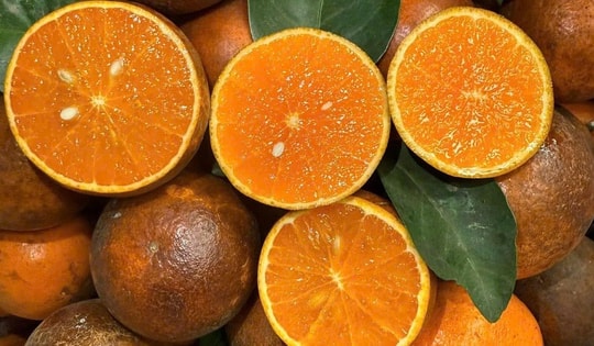 Tiểu thương lý giải nguyên nhân quýt sim ‘làm mưa làm gió’ thị trường