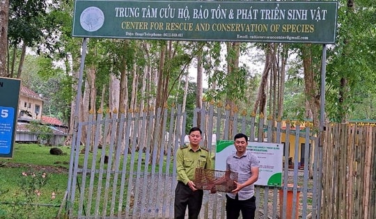 Khen thưởng người đàn ông bắt được động vật quý hiếm và báo chính quyền