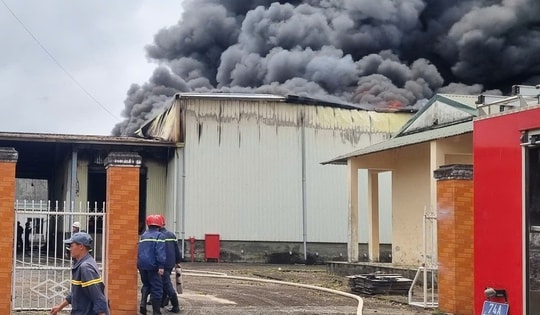 Video cháy lớn tại kho của nhà máy chế biến thuỷ sản