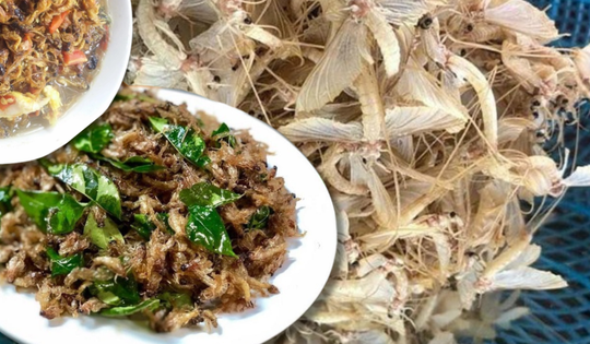 Đặc sản sông Hồng mùa này: Đắt tới 500 nghìn/kg nhưng vẫn chẳng có mà mua, nấu món nào cũng ngon 'hết sảy'