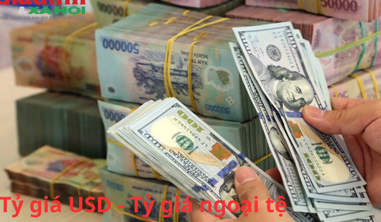 Tỷ giá USD - Tỷ giá ngoại tệ - Tỷ giá hối đoái hôm nay (4/4/2025)