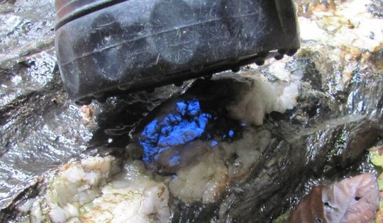 40 mỏ vàng mới được phát hiện ở Tây Bắc có dễ khai thác?